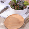 Round Ceramic and Bamboo Succulent Planter in White