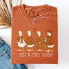 Just A Cozy Goose Fall Tee - Misses and Curvy