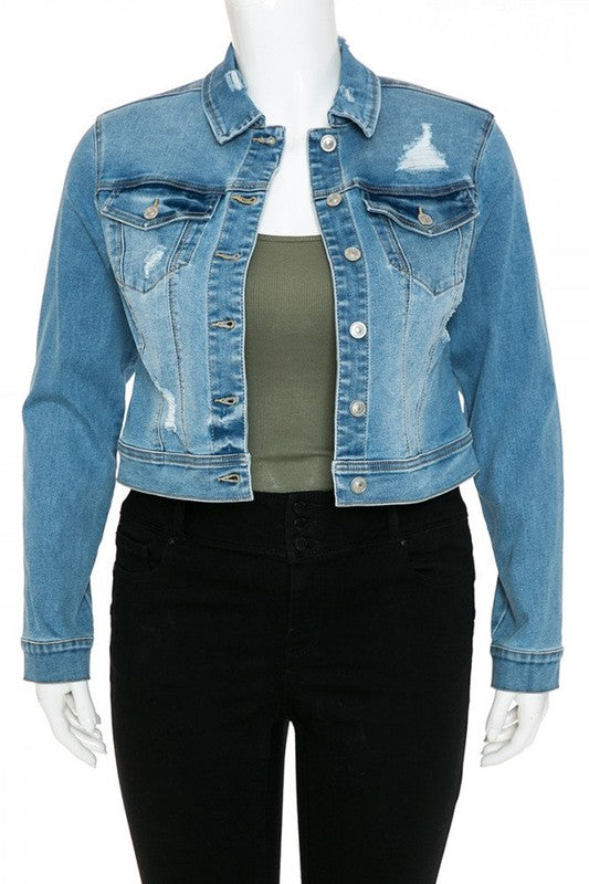 Classic Destructed Crop Denim Jacket in Medium Blue - Curvy